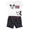 Disney Mickey Mouse summer time - 1
